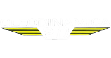 OLEODINAMICA 2D